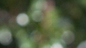 El expresidente Obama pasará tardes de sol junto a su familia en su nueva mansión