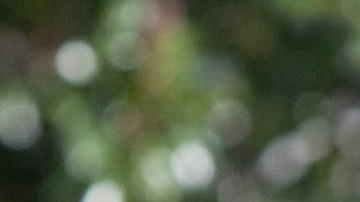 El expresidente Obama pasará tardes de sol junto a su familia en su nueva mansión