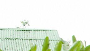 Salcedo Republica Dominicana