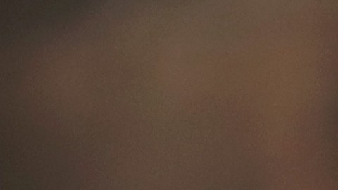 Kate Middleton y su príncipe William.