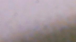 ABBA regresa con nuevas canciones 40 años después.