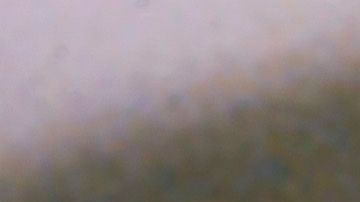 ABBA regresa con nuevas canciones 40 años después.