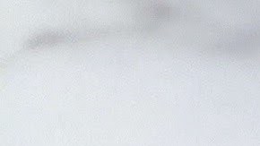 Greek Pico Salad Portrait 3