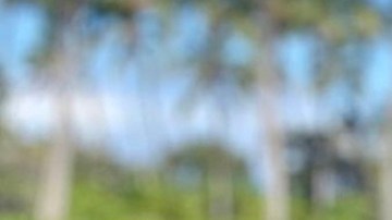 Raúl de Molina y Mily desde Hawái