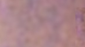 Jayquan Lewis Sánchez