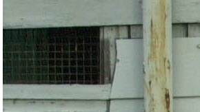 Los guardaespaldas de Jennifer Lopez se levan todos los piropos en Venecia.