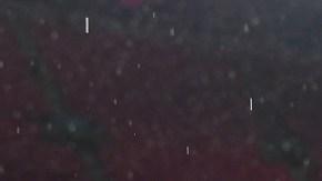 El volante también ha dicho que todo dependerá de los criterios de los votantes.