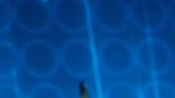 Lorenzo Méndez dice que Chiquis Rivera aún lo llama y que su novio Emilio Sánchez sí era compa de él.