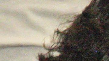 Marc Anthony saluda a paparazzi pero su hija con JLO, Emme, le hace el feo.