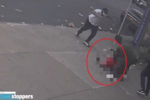 VIDEO: ¡Montoneros! Sujetos golpean y acuchillan a un hombre en El Bronx