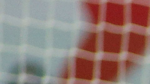 Paolo Guerrero