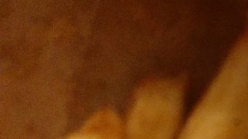 Papas fritas Five Guys