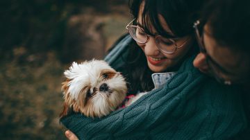 Día Nacional del perro en Estados Unidos: cuánto cuesta mantener una mascota