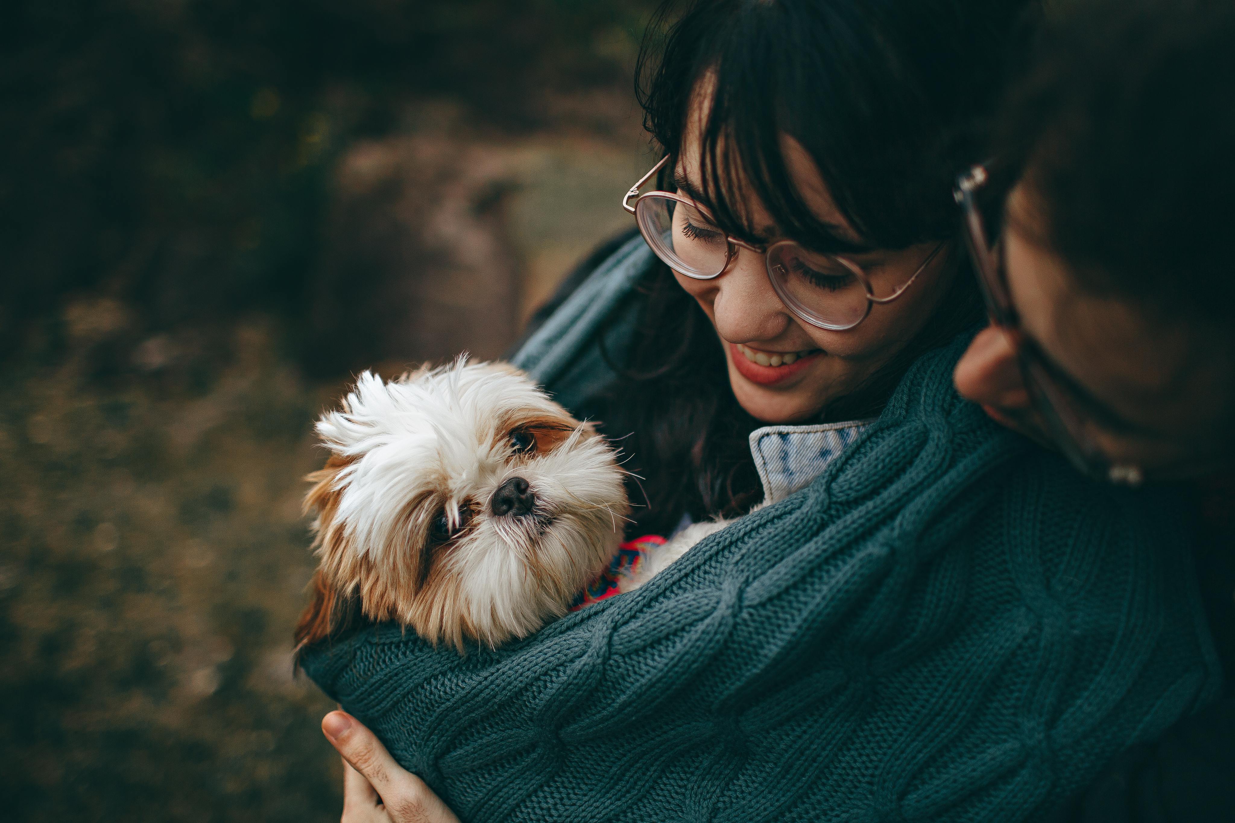 cuantos criadores de perros hay en estados unidos