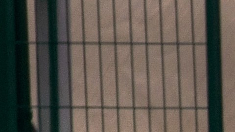 Solicitantes de asilo saliendo del campamento de Matamoros