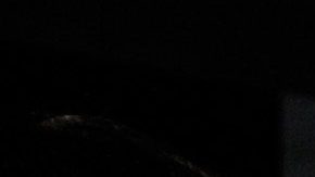 La cantante Noelia dijo que Tanya Charry de El Gordo y La Flaca le da asco y que es una desleal.