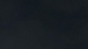 University of South Florida