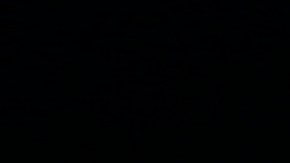 Vladimir Guerrero Jr