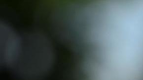 Su hijo, Jonathan Jackson, pidió que "continúen orando por la recuperación total de nuestros padres. Continuaremos actualizándolos regularmente".