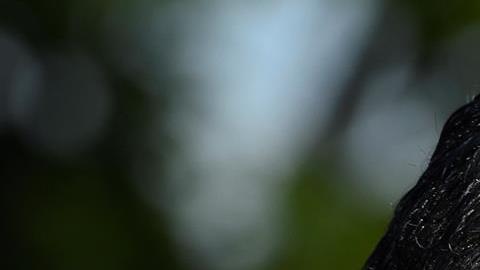 Su hijo, Jonathan Jackson, pidió que "continúen orando por la recuperación total de nuestros padres. Continuaremos actualizándolos regularmente".