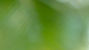 Rae se casó a los 18 años y dice que su esposo la ayuda a producir sus videos y fotos.