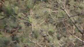 Aún faltan dos días para la fecha límite de evacuación.