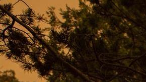 Caldor Fire en California