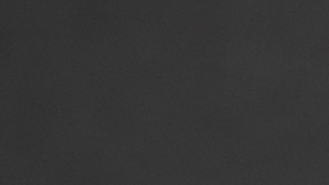 Tira las cenizas de su esposo a la basura