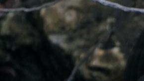 Cocodrilo piscina Zimbabue