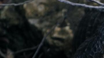 Cocodrilo piscina Zimbabue