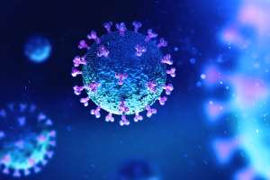 COVID-19: un video muestra cómo se esparce el virus en un cuerpo infectado