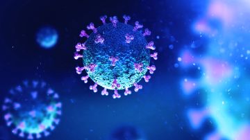 Video recorrido coronavirus cuerpo