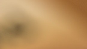 Mastercard será la primera en eliminar la banda magnética en sus tarjetas.