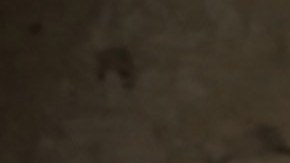 Es recomendable ubicar las fuentes de humedad en caso que sea elevada.