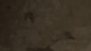 Es recomendable ubicar las fuentes de humedad en caso que sea elevada.