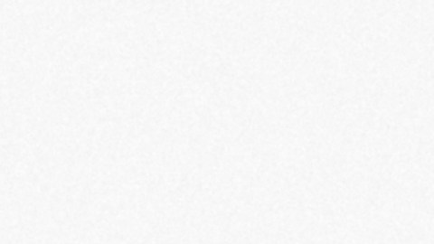 Día Nacional del Perro en Estados Unidos: por qué se celebra el 26 de agosto