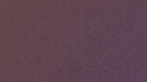 Fornite Wonder Woman