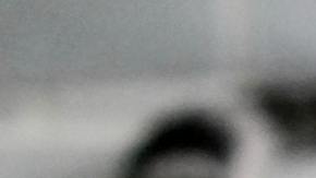 Gato música electrónica