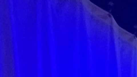 Miembros del comité organizador del desfile dominicano con 
Guillermo Linares, presidente de Educación Superior del Estado de Nueva York
Corporación de Servicios (HESC). /Cortesía