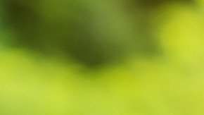 La empresa Willis Towers Watson se puso en contacto con más de mil empleadores para sacar estos datos.