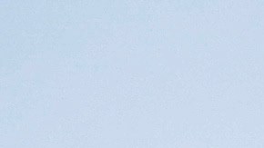 SpaceX, empresa de Elon Musk, ofreció un precio más económico para construir el módulo de aterrizaje lunas para la NASA.