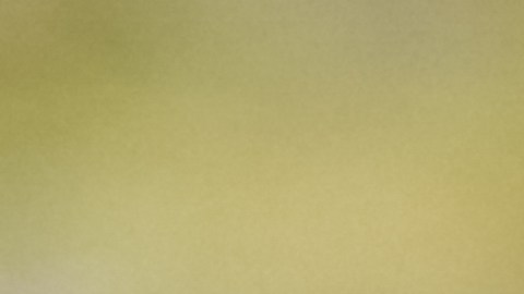 Muere novia de 21 años tras haber celebrado su boda