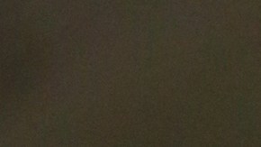 Niña 4 años piano Carnegie Hall