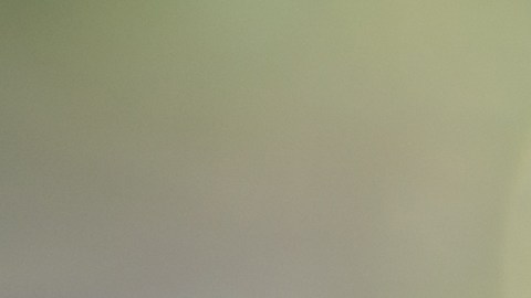 Niños latinos Rhode Island plomo