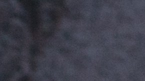 Pescado saltos horno viral