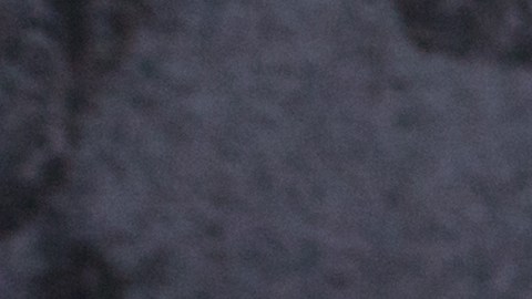 Pescado saltos horno viral