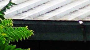 Presume casa lámina y se vuelve viral