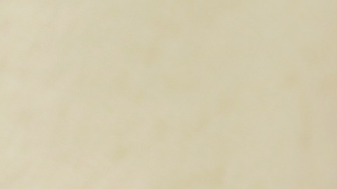 Primos padres el mismo día