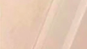 Nicole Flanagan residía en El Bronx (NYC).