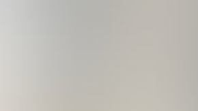 Sospechosa solicitada por NYPD.